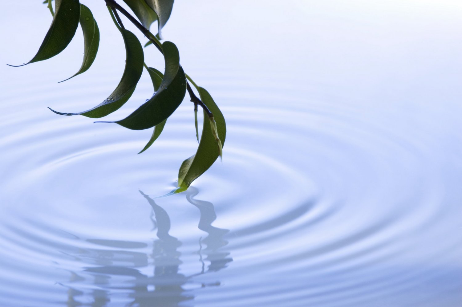 iStock_000005145500Large