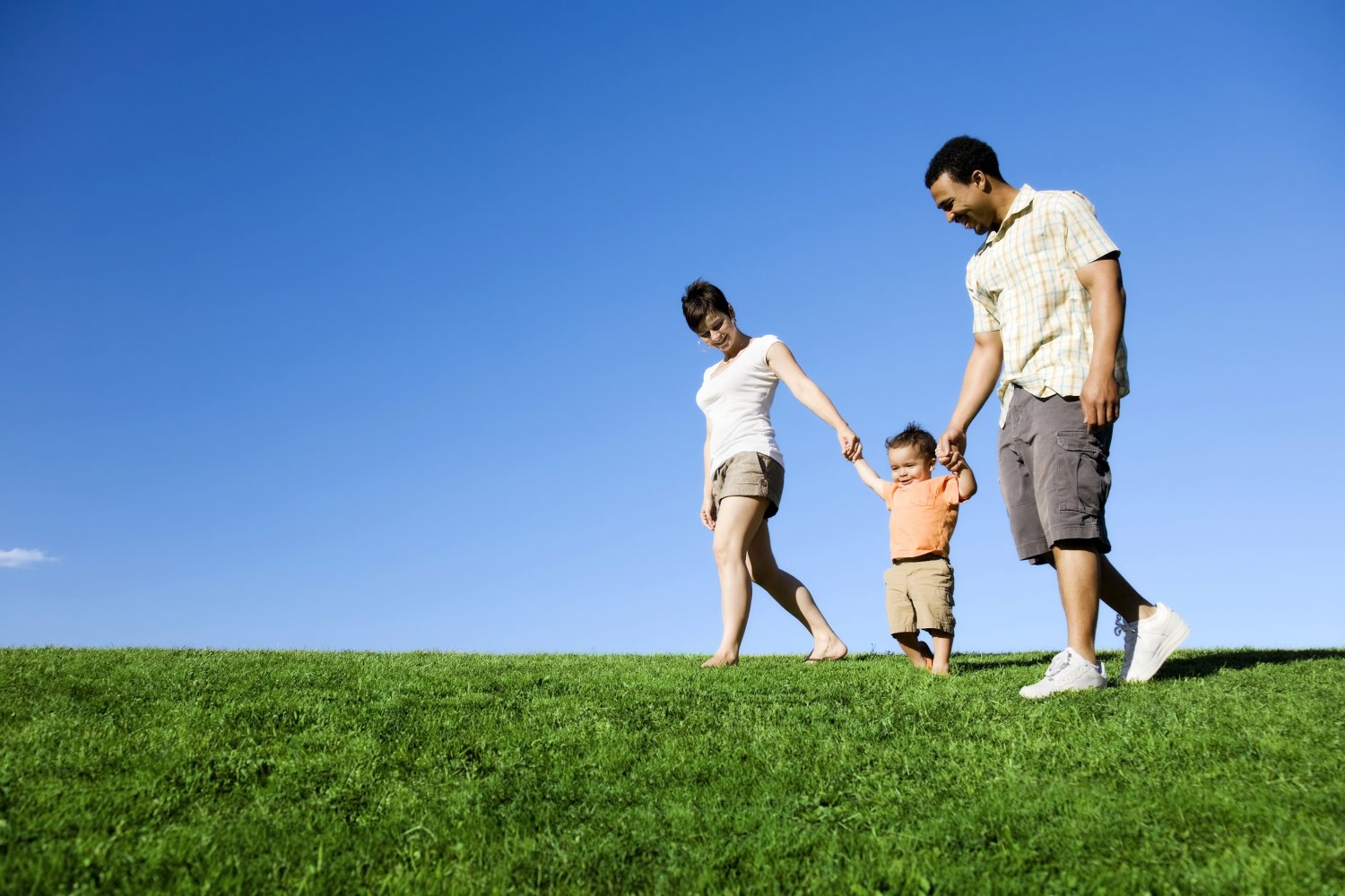 iStock_000006638550XXLarge